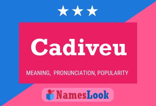 Cadiveu Name Poster