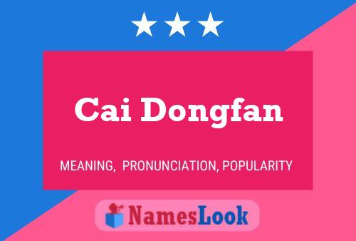 Cai Dongfan Name Poster