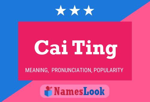 Cai Ting Name Poster