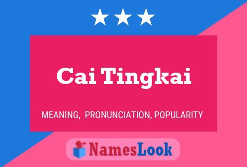 Cai Tingkai Name Poster