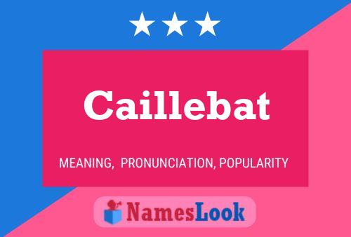 Caillebat Name Poster