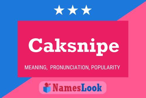 Caksnipe Name Poster