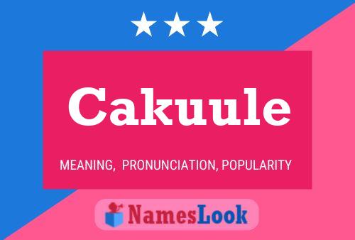 Cakuule Name Poster