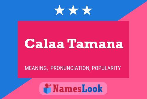 Calaa Tamana Name Poster