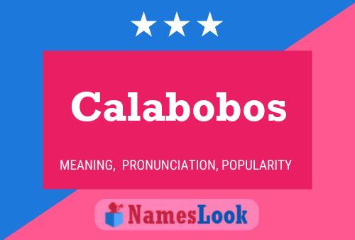 Calabobos Name Poster