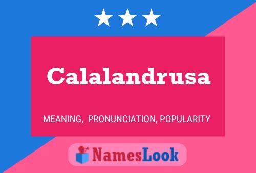 Calalandrusa Name Poster