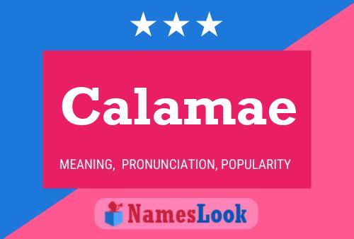 Calamae Name Poster