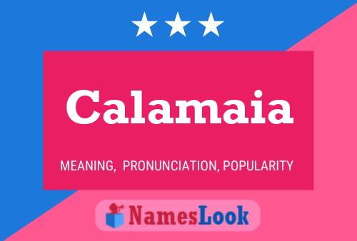 Calamaia Name Poster