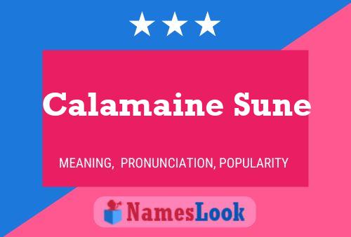 Calamaine Sune Name Poster