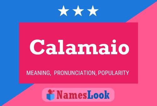 Calamaio Name Poster