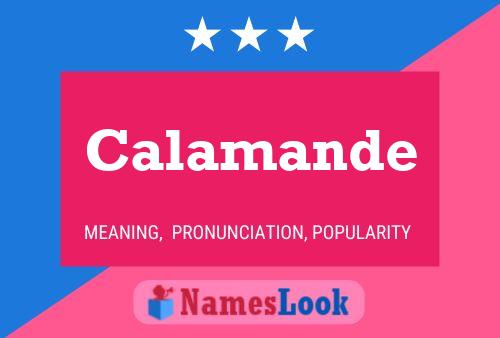 Calamande Name Poster