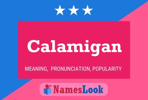 Calamigan Name Poster