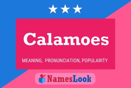 Calamoes Name Poster