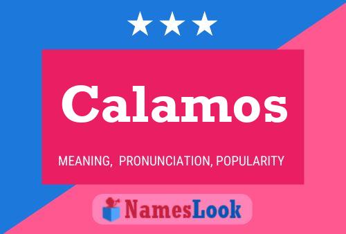 Calamos Name Poster