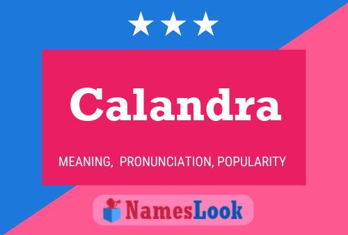 Calandra Name Poster