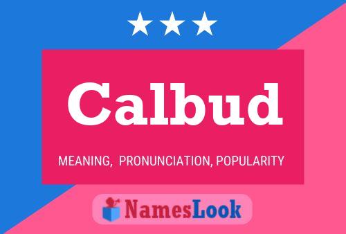 Calbud Name Poster