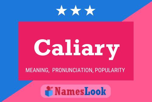 Caliary Name Poster