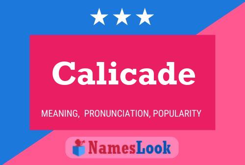 Calicade Name Poster