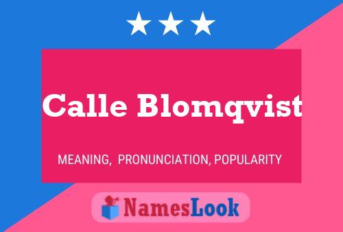 Calle Blomqvist Name Poster