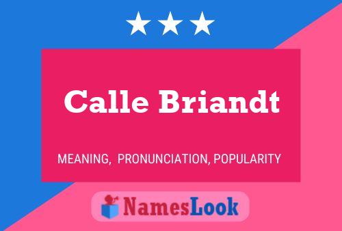 Calle Briandt Name Poster