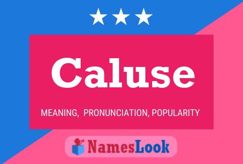 Caluse Name Poster