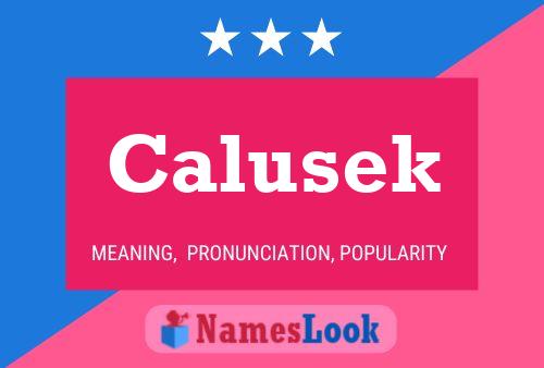 Calusek Name Poster