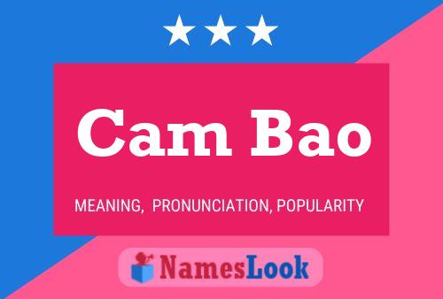 Cam Bao Name Poster