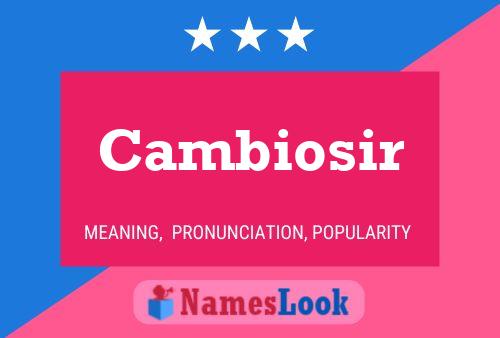 Cambiosir Name Poster