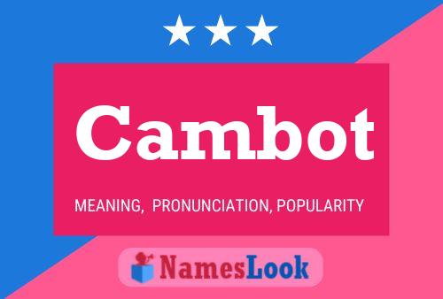 Cambot Name Poster