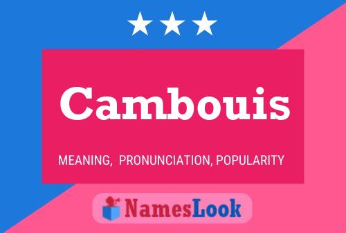 Cambouis Name Poster