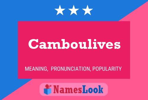 Camboulives Name Poster