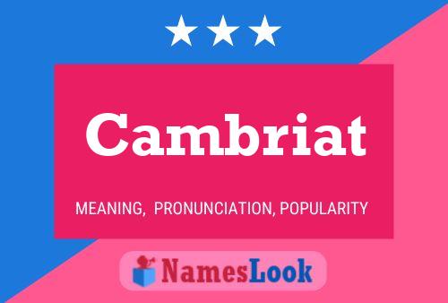 Cambriat Name Poster