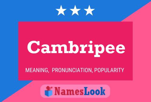 Cambripee Name Poster