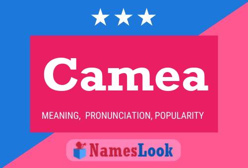 Camea Name Poster