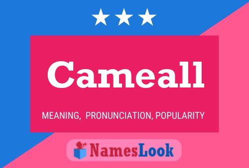 Cameall Name Poster