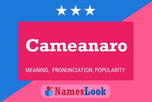 Cameanaro Name Poster