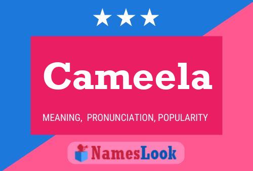 Cameela Name Poster