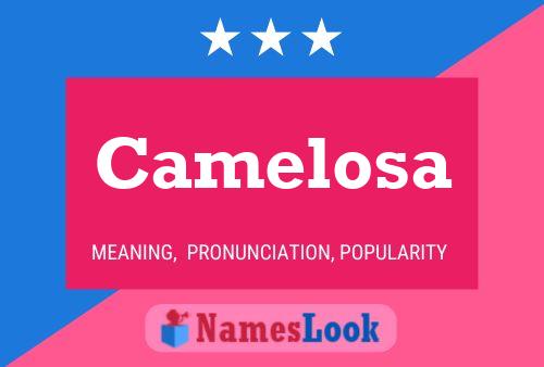 Camelosa Name Poster