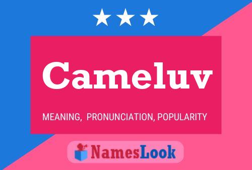 Cameluv Name Poster