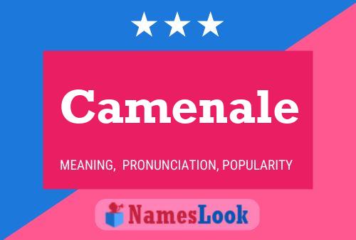 Camenale Name Poster