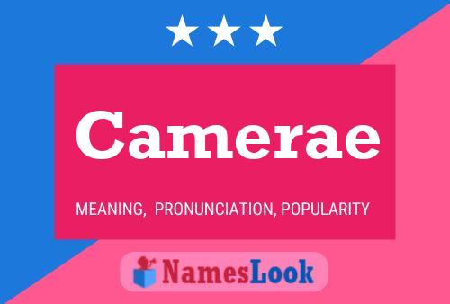 Camerae Name Poster