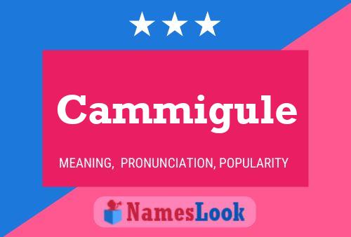 Cammigule Name Poster