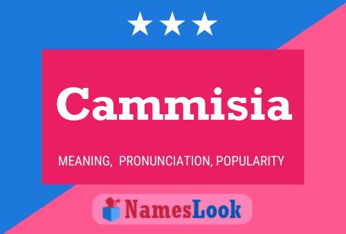 Cammisia Name Poster