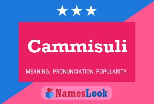 Cammisuli Name Poster