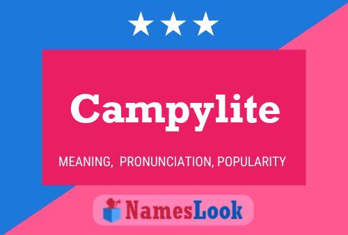 Campylite Name Poster