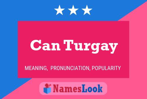 Can Turgay Name Poster