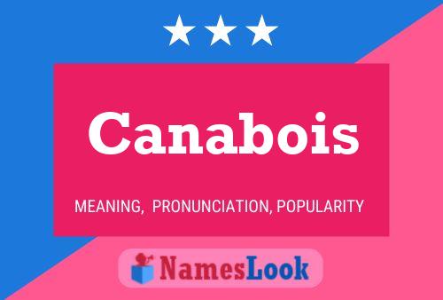 Canabois Name Poster