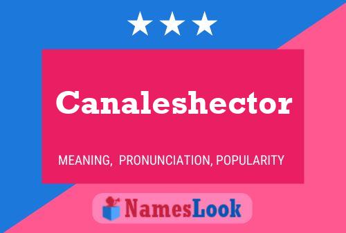 Canaleshector Name Poster