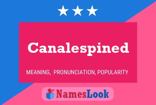 Canalespined Name Poster