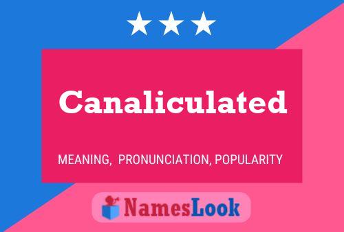 Canaliculated Name Poster